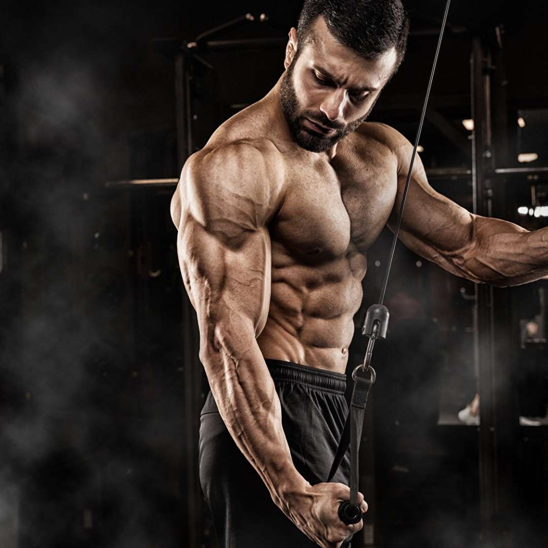 Top 10 Legit Steroid Sites in UK